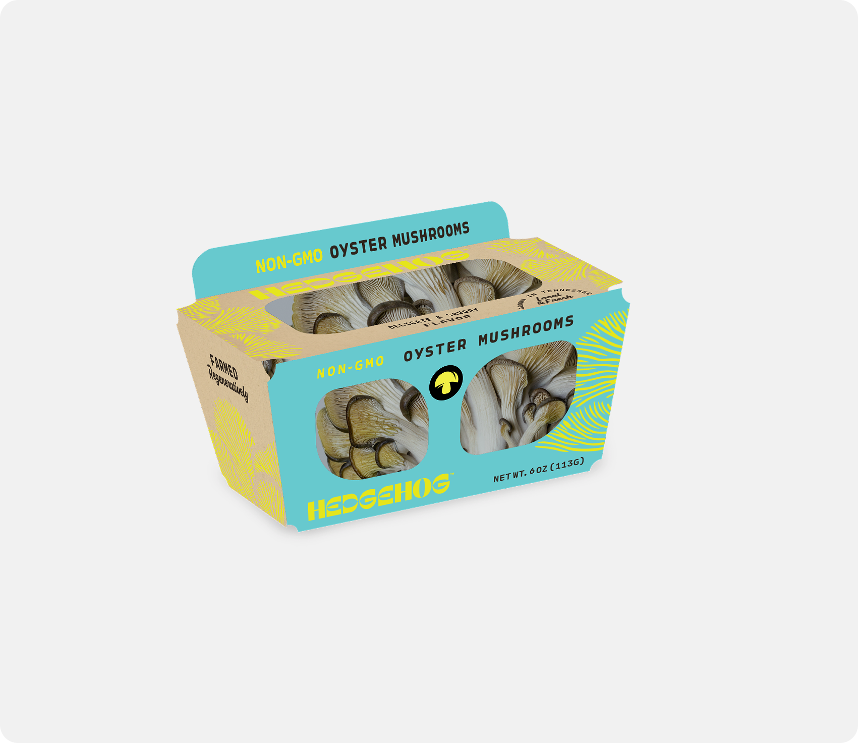 Hedgehog Cover image