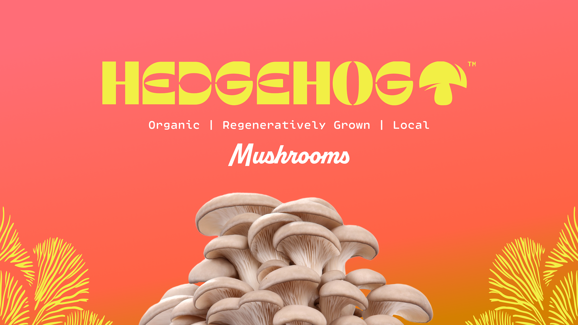 Pitch deck branding material