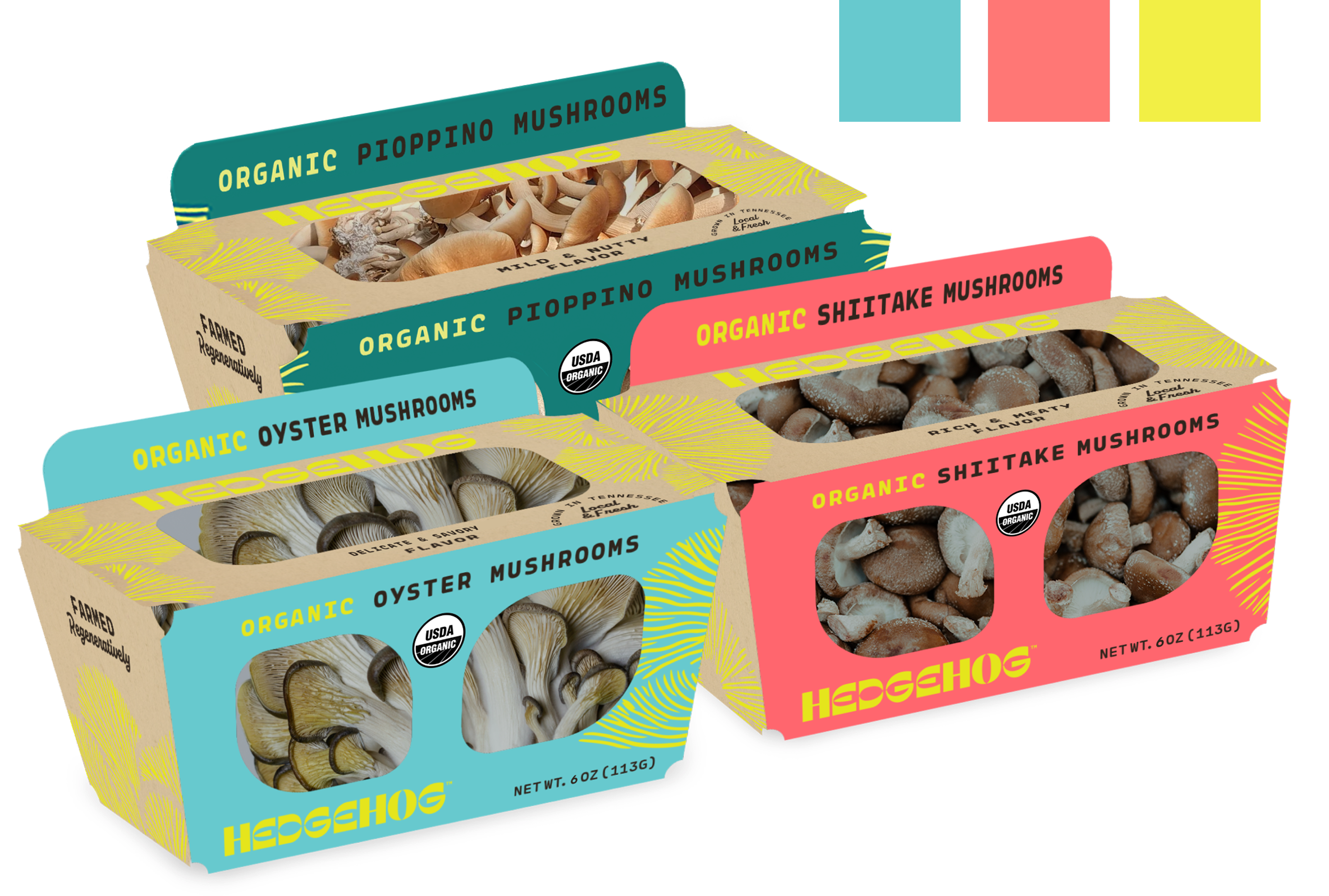 Packaging and branding design